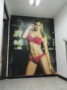 Foto mural Rubia Morella