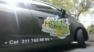 Carro-mascotas--e1457233202265  